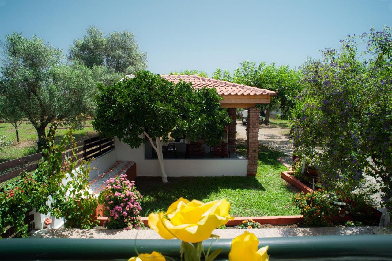 Apartment Marmaron *