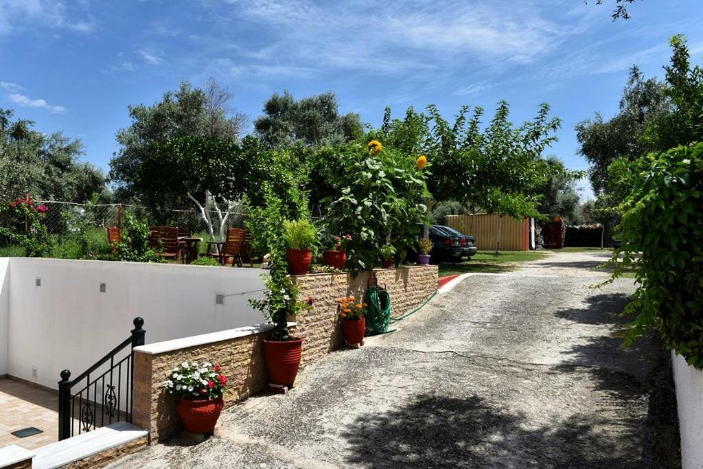 Apartment Marmaron